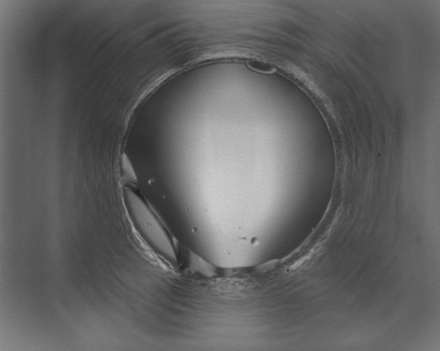 X0000073421137200608181114