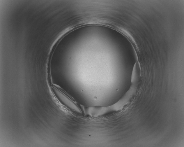 X0000073421138200608181114