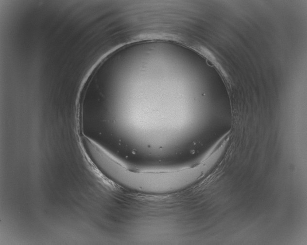 X0000073421140200608181114