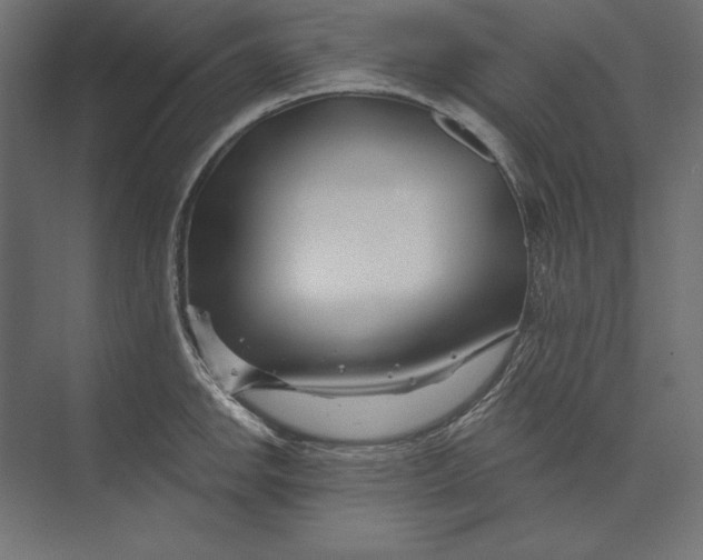 X0000073421142200608181114