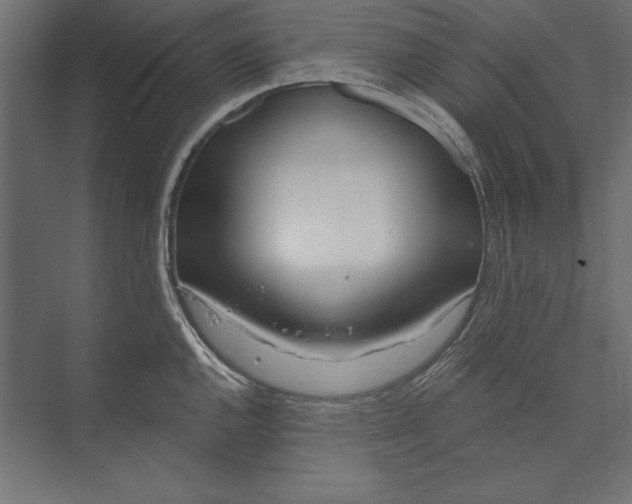 X0000073421144200608181114