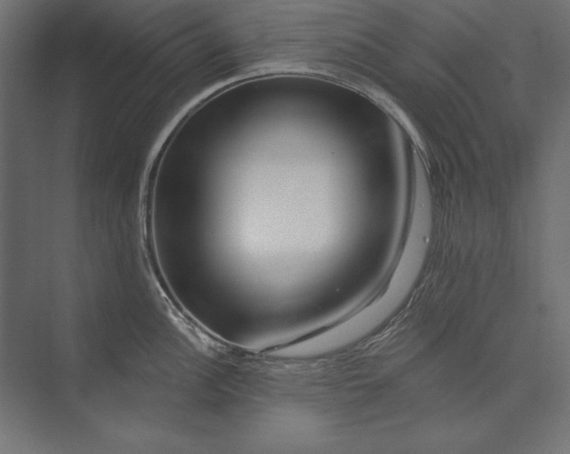 X0000073421148200608181114