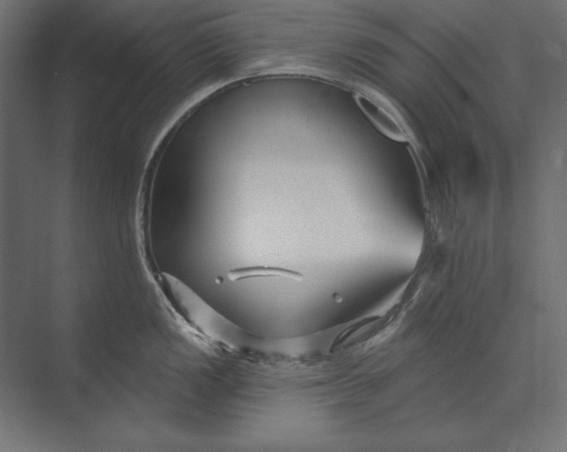 X0000073421149200608181114