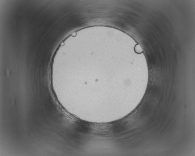 X0000073421150200608181114