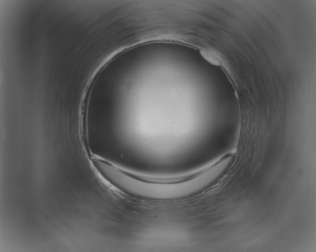 X0000073421151200608181114