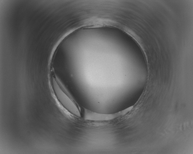 X0000073421152200608181114