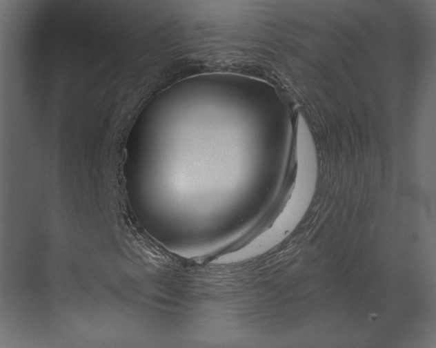 X0000073421153200608181114