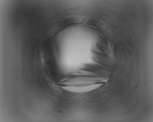 X0000073421154200608181114