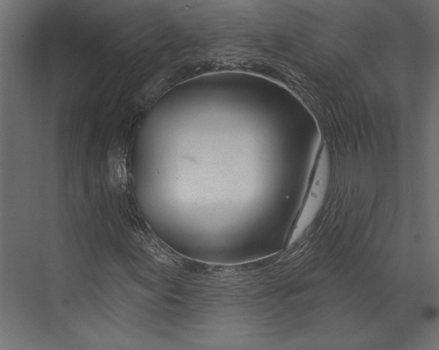 X0000073421155200608181114