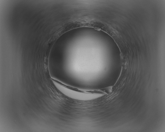 X0000073421156200608181114