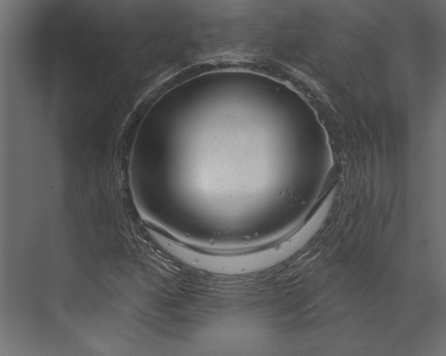 X0000073421160200608181113