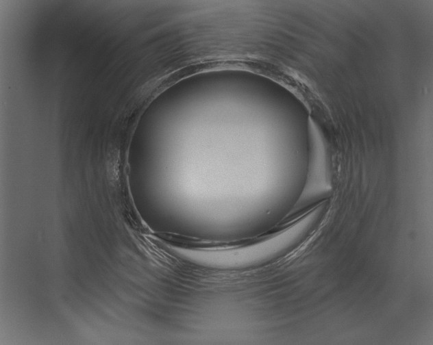 X0000073421161200608181113