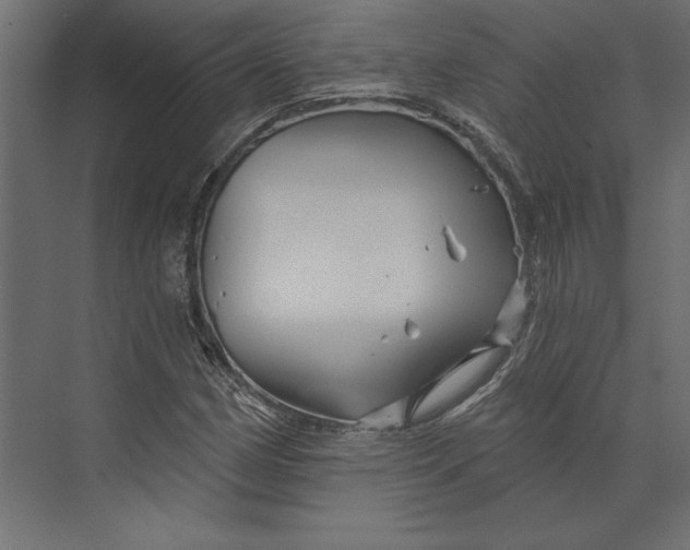 X0000073421162200608181113