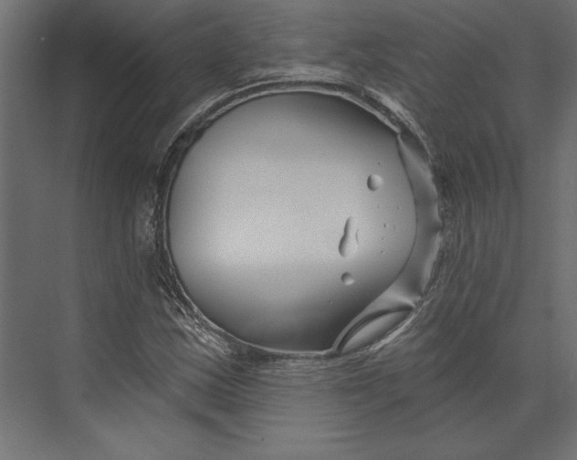 X0000073421163200608181113