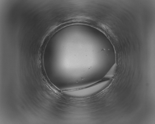 X0000073421164200608181113