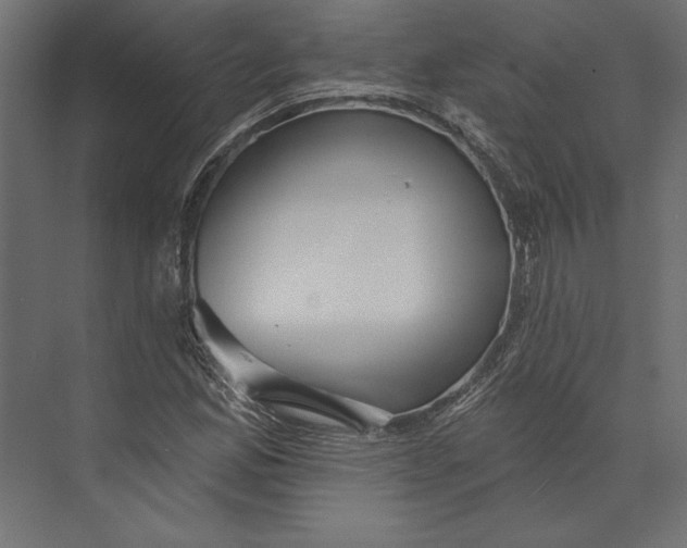 X0000073421165200608181113