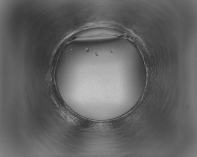 X0000073421166200608181113