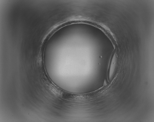 X0000073421167200608181113