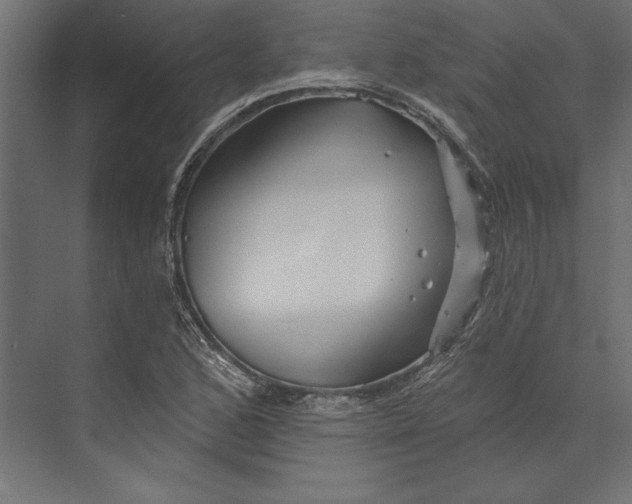 X0000073421168200608181113