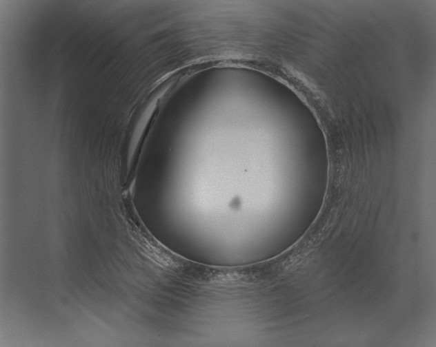 X0000073421169200608181113