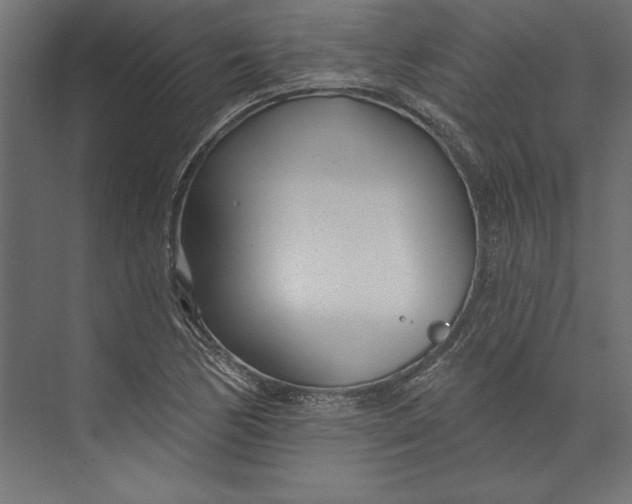 X0000073421170200608181113