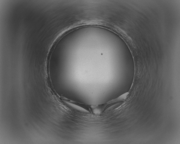 X0000073421174200608181113