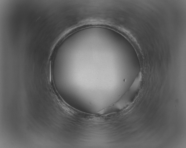 X0000073421175200608181113