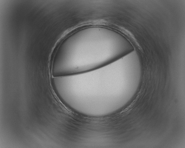 X0000073421176200608181113