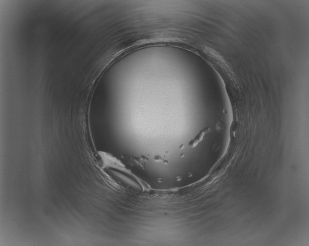 X0000073421177200608181113