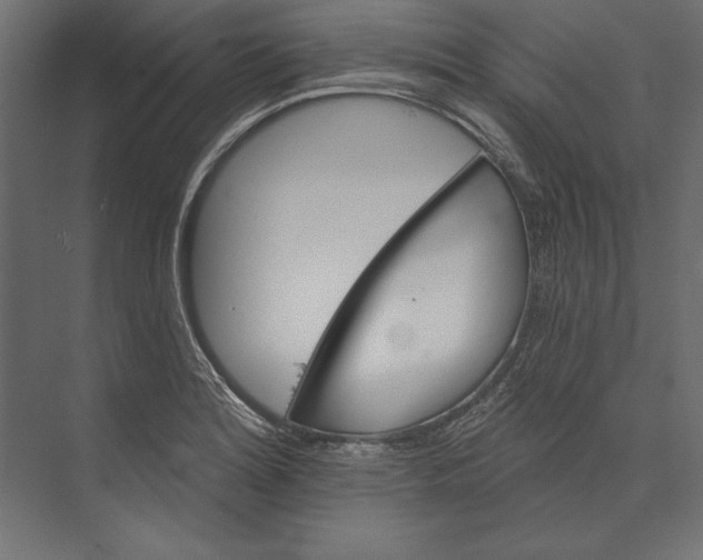 X0000073421180200608181113