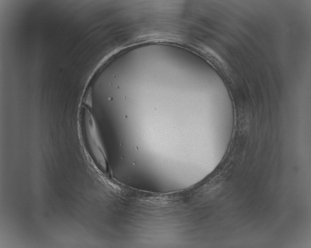 X0000073421182200608181113