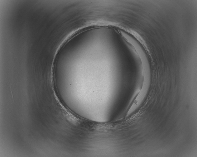 X0000073421183200608181113