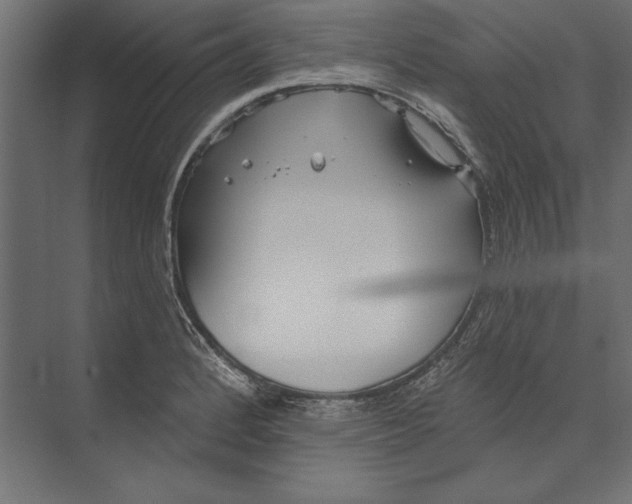 X0000073421184200608181113