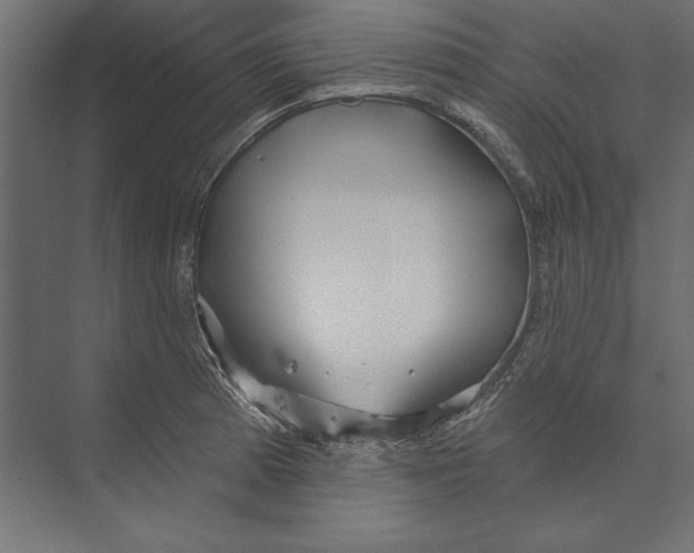 X0000073421185200608181113