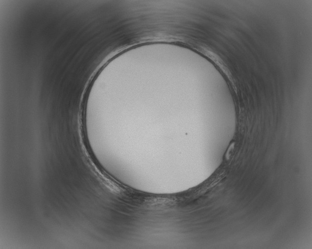 X0000073421187200608181113