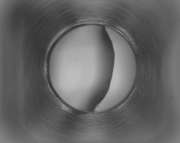 X0000073421188200608181113