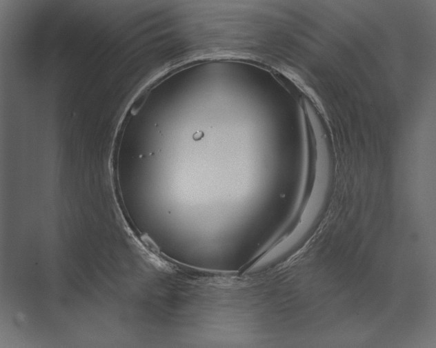 X0000073421189200608181113