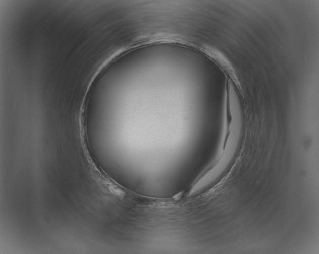 X0000073421190200608181113