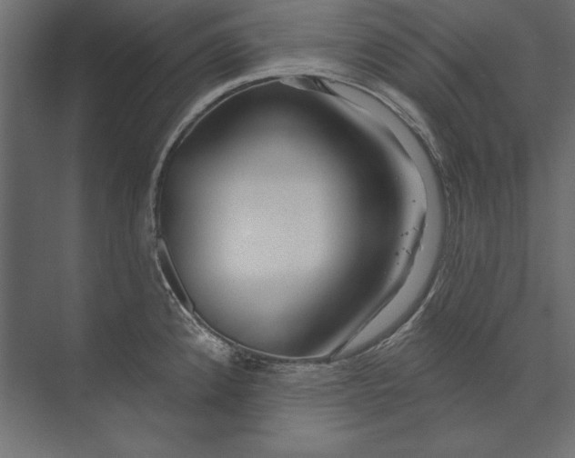 X0000073421192200608181113