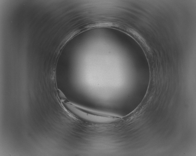 X0000073421193200608181113