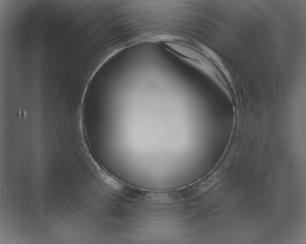 X0000073421194200608181113