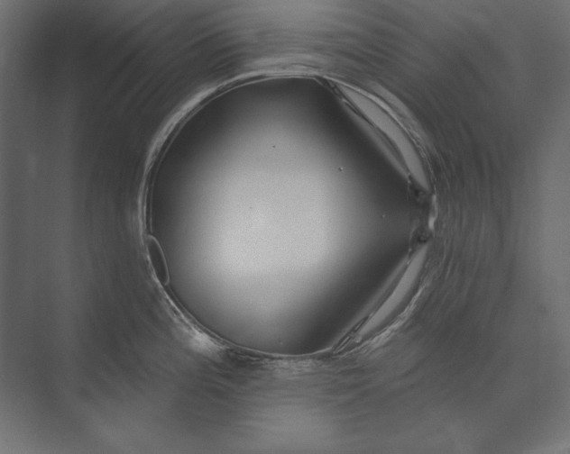 X0000073421196200608181113