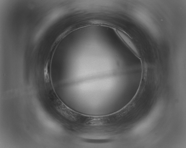 X0000073421198200608181113