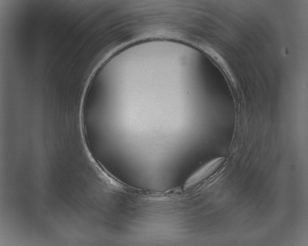 X0000073421199200608181113