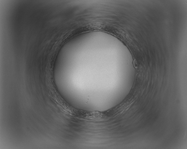 X0000073421201200608181112