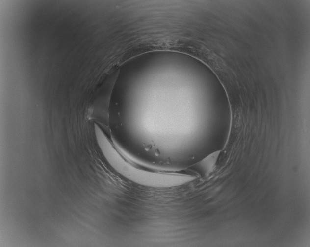 X0000073421202200608181112