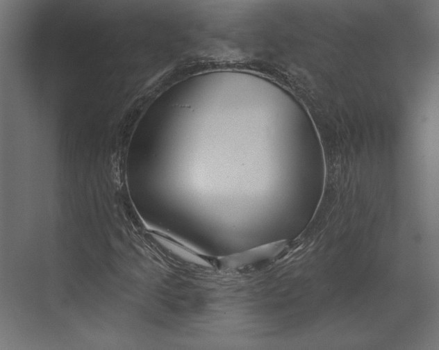 X0000073421205200608181112