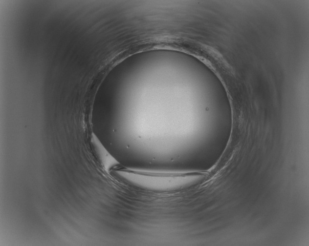 X0000073421209200608181112