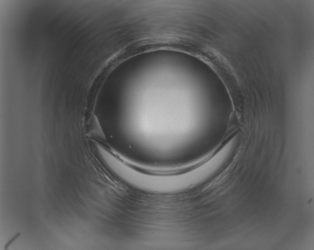 X0000073421210200608181112