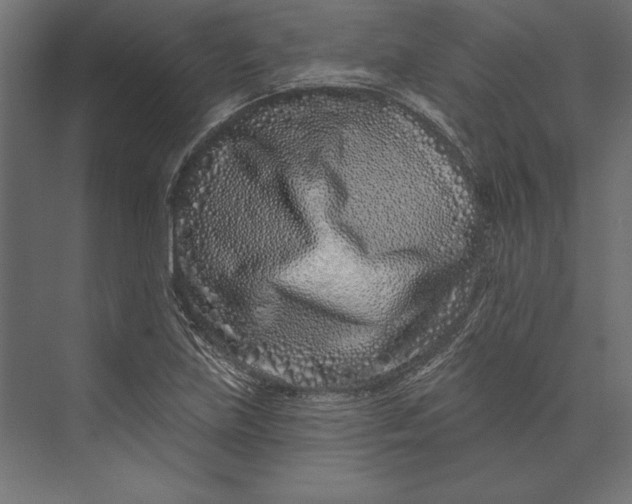 X0000073421219200608181112